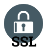 icons8-encrypt-filled-96 (1)